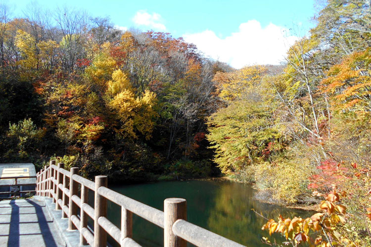 高湯ダム公園