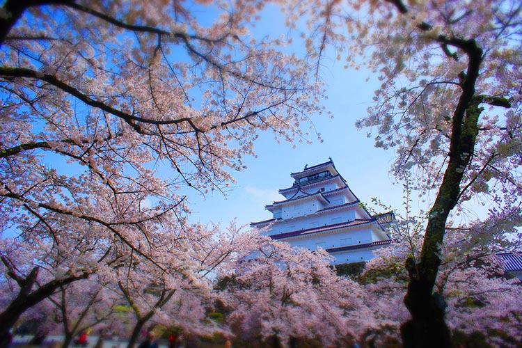鶴ヶ城